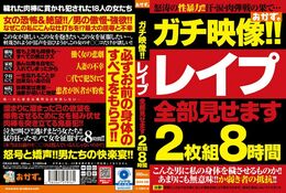 ガチ映像！！ レイプ全部見せます 2枚組8時間 Disc.2